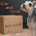 Bella & Duke Premium Beef Pizzles for Dogs - Natural Dental Chews for Cleaner Teeth & Gums - Ideal for Teething Pups - 100% Natural Grain-Free Treats - Buy Online on GoSupps.com
