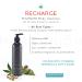 Organic M Shungite Recharge Body Wash with Hemp Seed Oil | Antibacterial Cleanser for Face, Hands & Body | Vegan & Non GMO | Handmade in USA - Buy Online on GoSupps.com