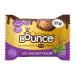 Bounce Dipped Chocolate Hazelnut Praline Protein Ball 40g x 20 Packs