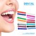 Nikusaz Correction League Tie Braces - 40 Multicolored Dental Orthodontic Elastic Clips for Tooth Correction - Buy Online on GoSupps.com