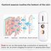 qazaa Portable Steamer Mini USB Humidifier Nano Sprayer Handy Face Steamer Mist Machine - Buy Online on GoSupps.com
