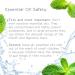 SpaRoom Breathe Easy Essential Oil Blend - 10ml (0.33 fl oz) - Made in USA - Buy Online on GoSupps.com