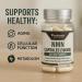 Probase Nutrition Longevity Pure NMN Capsules 60 Count (500mg Each) - Ultra-Pure, Fully Stabilized, Pharmaceutical Grade NMN to Boost NAD+, Nicotinamide Mononucleotide Capsules (Packaging May Vary) - Buy Online on GoSupps.com