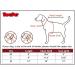 BINGPET Dog Argyle Sweater - X-Small Winter Pets Clothes - Buy Online on GoSupps.com