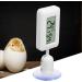 Mini Digital Hygrometer Thermometer - 2pcs for Vivarium & Incubator Monitoring | Accurate Measurements | International Shipping - Buy Online on GoSupps.com