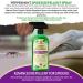Natural OUST Peppermint Oil Spider Repellent Spray - Eco Friendly Indoor/Outdoor Solution for Effective Spider Control - Buy Online on GoSupps.com