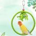 Congguan Bird Swing - Cotton Rope Ring for Budgies & Nymphicus | Bite-Resistant Hanging Toys - Buy Online on GoSupps.com