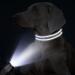 Personalized Large Dog Collar -Reflective Nylon with Pet Name & Phone Number - Tagme King Blue | 1 Pack - Buy Online on GoSupps.com
