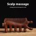 Handmade Scalp Massage Device | Portable Antistatic Comb for Hair Loss Prevention | Ideal for Head Neck & Shoulders - Buy Online on GoSupps.com