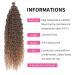 Deep Twist Crochet Hair - 22 Inch Ombre Curly Braided Extensions | 6 Packs Synthetic Kinky Curl Hairstyle (T27#) - Buy Online on GoSupps.com
