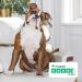 HEY HOLY Beautiful Bulldoggs P t es Grain Free Adult Dog Natural Food 750g x 18 Fresh Salmon Quality Protein - Buy Online on GoSupps.com