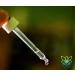 Buy Vitaragna Vitamin K2 Forte Drops - High-Dose K1 & K2 Complex in MCT Oil | 20ml | International Shipping Available - Buy Online on GoSupps.com
