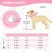 Buy Sbayool Adjustable Soft Breaker Crane Collar for Dogs & Cats - Leak Protection Comfort & Surgery Recovery | Pink (Neck: 20cm-23cm) - Buy Online on GoSupps.com