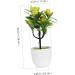 Zerodeko 2pcs Faux Lemon Potted Plant Mini Greenery Faux Plants Indoor Artificial Fruit Tree Bonsai Summer Flower Decor Ornament Office Lemon Tree Decors Plastic Desktop Decorations Yellow 11x6.5x26cm - Buy Online on GoSupps.com