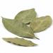 Buy Malinowe Dried Bay Leaves 500g | Whole Bay Leaf for Cooking & Seasoning | International Shipping Available - Buy Online on GoSupps.com