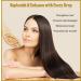 Natural Born Oils Organic Wheat Germ Oil 8oz | Cold-Pressed Unrefined Vitamin E for Skin & Hair Care - Buy Online on GoSupps.com