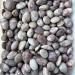 Natural Crystal Rough Natural Polished Plum Blossom Tourmaline Tumbled Crystal Stones for Sale - (Color: Plum Size: 20-30mm) - Buy Online on GoSupps.com
