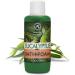 Buy Eucalyptus Essential Oil Bath Foam - 34 Fl Oz | Relaxing Aromatherapy for Good Sleep & Spa Experience - Buy Online on GoSupps.com