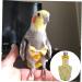Parrot Diaper Birds Flight Suit Cute Banana Physiological Pants Small Pet Birds Flight Suit Clothes for Pigeons Cockatiel - Buy Online on GoSupps.com