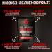 Creatine Monohydrate Powder from Stronglife 1000 grams 1 kg 200 servings at 5 grams micronized pure 200 mesh unflavored Improves muscle performance power and recovery 1000 grams 1 kg 1000 Grams 1kg - Buy Online on GoSupps.com