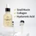 The Skin House Snail Mucin 5000 Ampoule 30ml - Nourishing Korean Serum for Moisturizing & Replenishing | K-beauty International Shipping - Buy Online on GoSupps.com