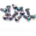 12pcs M5 * 10mm Titanium Rotor Bolt Kit for MTB Disc Brake Rotor - Rainbow Color - Buy Online on GoSupps.com