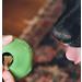 BecoThings Dog Toy Ball - Eco-Friendly Medium Green Dog Toy for Interactive Play - Buy Online on GoSupps.com