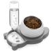 WZFFPAOJ Elevated Dog Cat Bowls, Tilted Cat Food and Water Bowl Set, Raised Ceramic Cat Bowl Stainless Steel Cat Bowls with Automatic Water Dispenser Bottle for Cats and Small Dogs Kitten Puppy Grey-Stainless Steel