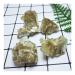 Natural Raw flogopite Specimen Rough Bronze mica Crystal Quartz Stones Crystals Crystal Stone QINTINYIN