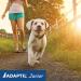 ADAPTIL Junior Calming Collar for Puppies - Reduce Crying & Whining and Improve Focus & Learning Dog Appeasing Pheromone Collar - (Puppy Calming Collar 1 Month Single Pack) - Buy Online on GoSupps.com