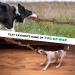 RIO Direct Dog Rope Toys Durable Dog Rope Chew Toys Set for Aggressive Chewers Interactive Cotton Rope - Avoid Boredom and Anxiety - Best Gift for Medium to Large Breeds (4Pack) Mixed-colour - Buy Online on GoSupps.com