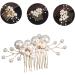 FOMIYES Pearl Comb Pearl Hair Clips Bride Hair Comb Bridal Headpieces for Wedding Hair Bling Wedding Hair Jewelry Pearls Headpiece Bridal Hair Gold Tiara Accessories Miss The Flowers Alloy - Buy Online on GoSupps.com