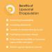 Pascoe Vitapas C Liposomal 90 Capsules - Vegan Vitamin C Capsules Vitamin in Easy-to-Swallow Small Size No Sugars Flavours Additives or Preservatives - Buy Online on GoSupps.com