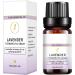 10ml Lavender Essential Oil for Aromatherapy - Unilateral Plant-Based Massage Care | Qhy556 - Buy Online on GoSupps.com