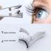 2 Pairs Magnetic Eyelashes Magnetic Lashes Magnetic Eyelashes Natural Look with Applicator Reusable Fake Lashes No Glue Fluffy False Eyelashes - Buy Online on GoSupps.com