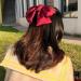 HSAJS 4 Pieces Hair Clips with Bow Elegant Hair Clips with Bow Large Large Bows with Metal Clip for Birthday Party Women Girls - Buy Online on GoSupps.com