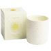 Calmcandle fragrance candle made of soy wax in luxury ceramic containers - 100% natural ingredients - 230g - 60h burning time - with an artistic gift box (Stellar Glow)