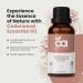 Cedarwood Essential Oil by Organic Alley | 100% Pure Undiluted and Natural Cedrus Atlantica Oil | Use for Skin Hair Stress Body Balance Relaxation & Diffusers (1 Fl Oz) - Buy Online on GoSupps.com