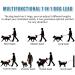 Hands-Free Multi-Function Dog Lead - Strong 1.4cm Thick Nylon Training Leash | 3 Adjustable Lengths | for Small, Medium, Large Dogs | Black 7ft x 1/2 - Buy Online on GoSupps.com