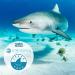 Stream2Sea Refillable Hand Sanitizer & Squalane Oil with Vitamin E for Skin & Hair - Natural Protection & Hydration, Reef Safe & Biodegradable - Buy Online on GoSupps.com