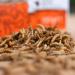 WachtelGold BirdGold Mealworms 150g - High Protein & Fat Treats for Small Animals & Birds - Buy Online on GoSupps.com