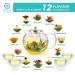 TETWIN Blooming Tea 12 Varieties Gift Canister - Hand-Tied Flowering Tea with White Tea Leaves and Edible Flowers (12 Count) - Buy Online on GoSupps.com