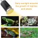 Naneezoo Turtles Heat Lamp - 25W Reptile Heating & UV Spot Lamp for Terrariums | E27 Clip-On Radiator for Turtles Lizards Spiders & Chameleons - 3 Pack - Buy Online on GoSupps.com