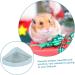 HANABASS Small Pet Ceramic Toilet Rabbit Litter Tray Chinchilla Potty Tray Rabbit Toilet Cat Toilet Ceramics 24x18.5cm Sky-blue - Buy Online on GoSupps.com