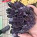 Crystal Hole Specimen Healed 1pc Natural Crystals Clear Quartz Cluster Freeform Reiki Stones Room Home Office Aquarium Decoration Accessories Gemstone As a Gift Crystal Hole (Size : 400-500g) - Buy Online on GoSupps.com