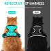Breakproof Cat Dishes with Adjustable Vest Set for Small Kittens - Reflective Stripes - Green XXS - Buy Online on GoSupps.com