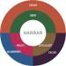 Ethiopia Coffee Harrar - Medium Roast-Espresso Blend-Whole Beans- 2 kg -Br lerie du Quai and Design Harrar-Medium Roast 2 kg (Pack of 1) - Buy Online on GoSupps.com