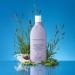 Smooth Start Peptide Complex Shampoo for Frizzy & Curly Hair - Bond Reconstruct with Marshmallow Extract | International Shipping Available - Buy Online on GoSupps.com