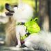 Purime nice pet dog harness set bag with a leash hiking camping outdoor puppy dishes backpack Small dog multifunctional hundred bag bag (s green) s greenen