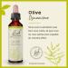Buy Bach Olive N 23 20ml | International Shipping | Natural Remedies Online - Buy Online on GoSupps.com